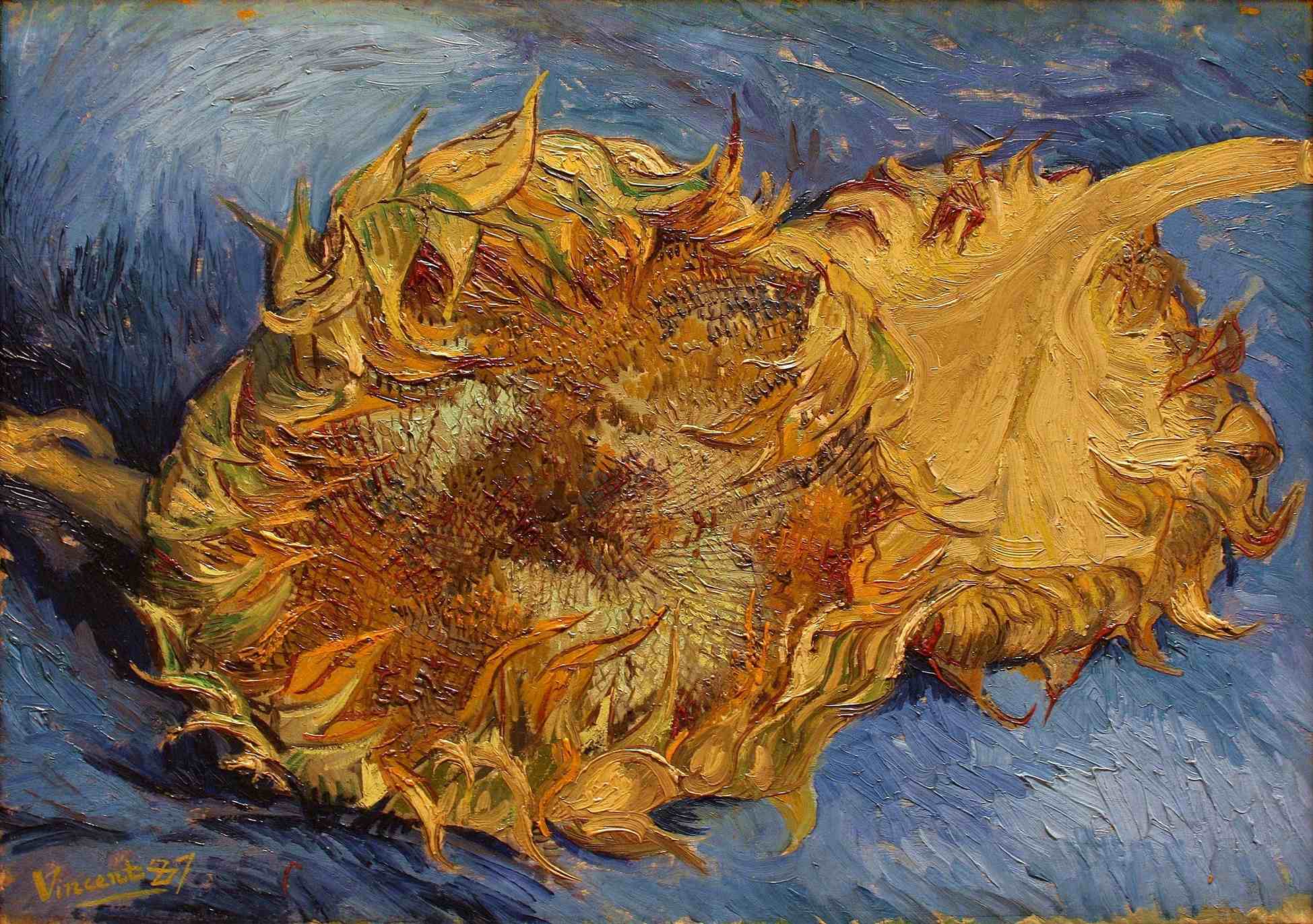 Vincent Van Gogh's 'Sunflowers' Are Wilting Vincent Van Gogh's 'Sunflowers' Are Wilting