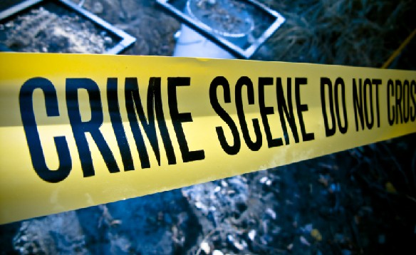 Seven in Ten Americans Say Crime Is Rising in US: Gallup Seven in Ten Americans Say Crime Is Rising in US: Gallup