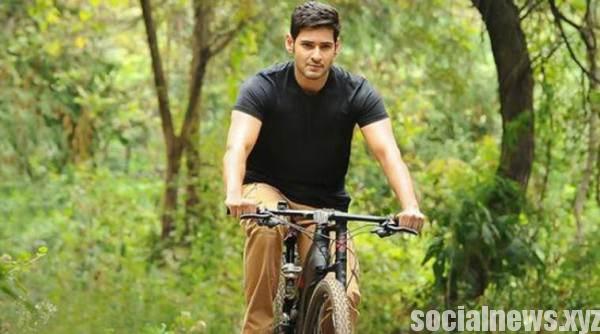 Not Remaking Mahesh Srimanthudu Not Remaking Mahesh Srimanthudu