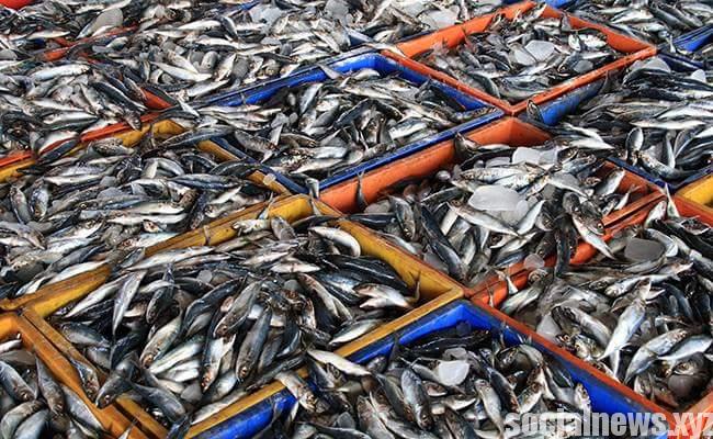 Vizag Gets German Seafood Testing Lab Vizag Gets German Seafood Testing Lab