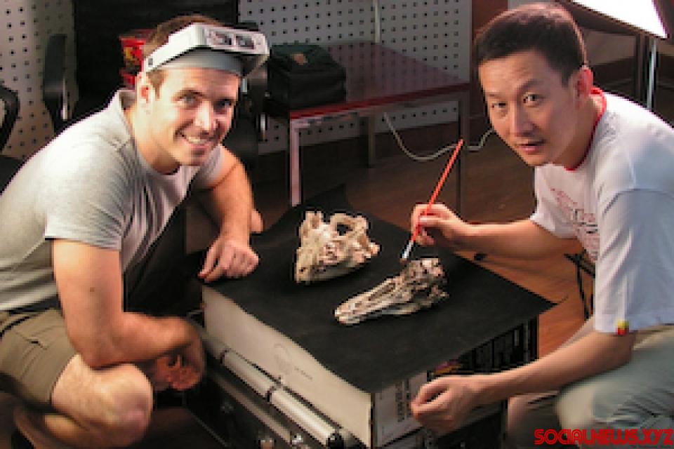 200-Mn-Year Old Dinosaur Remains Found in South Africa