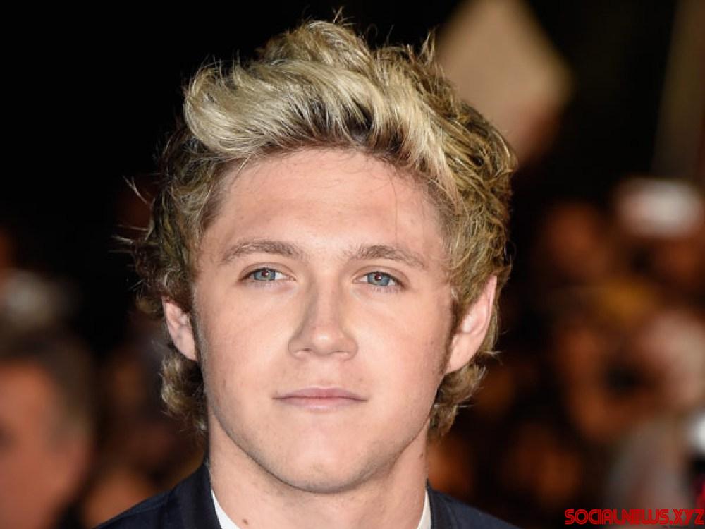 Niall Horan Features in J.K. Rowling's Latest Novel