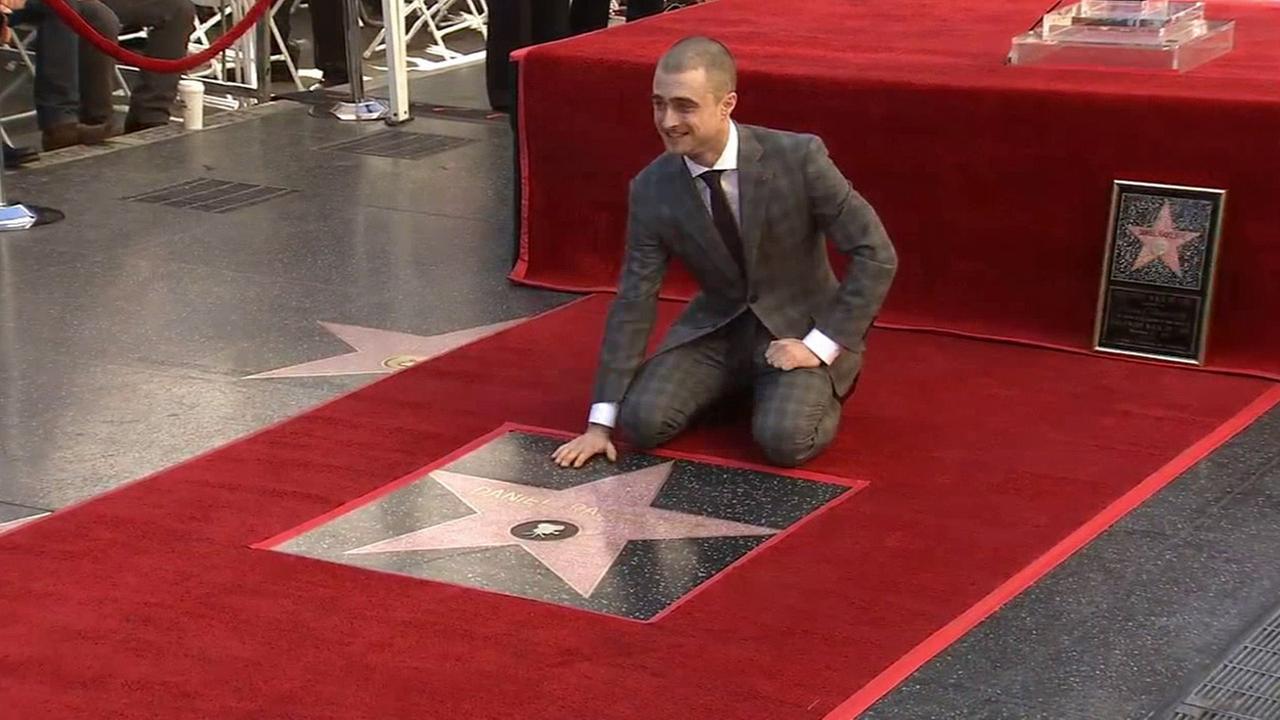 Daniel Radcliffe Gets Star on Hollywood Walk of Fame