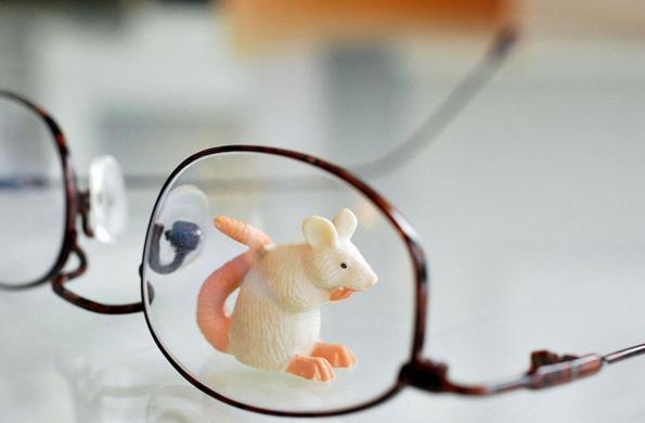 'Rat Vision' Gives Humans Best Sight Ever