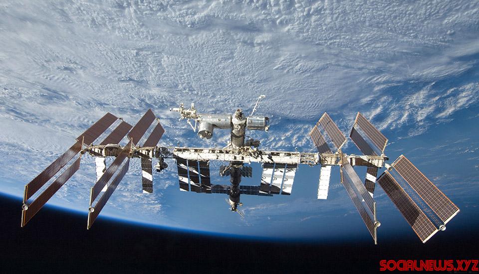After Veggies, Flowers to Bloom in Space This New Year