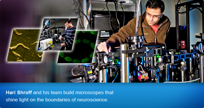 New 3D Software Tracks Embryo's Brain Development