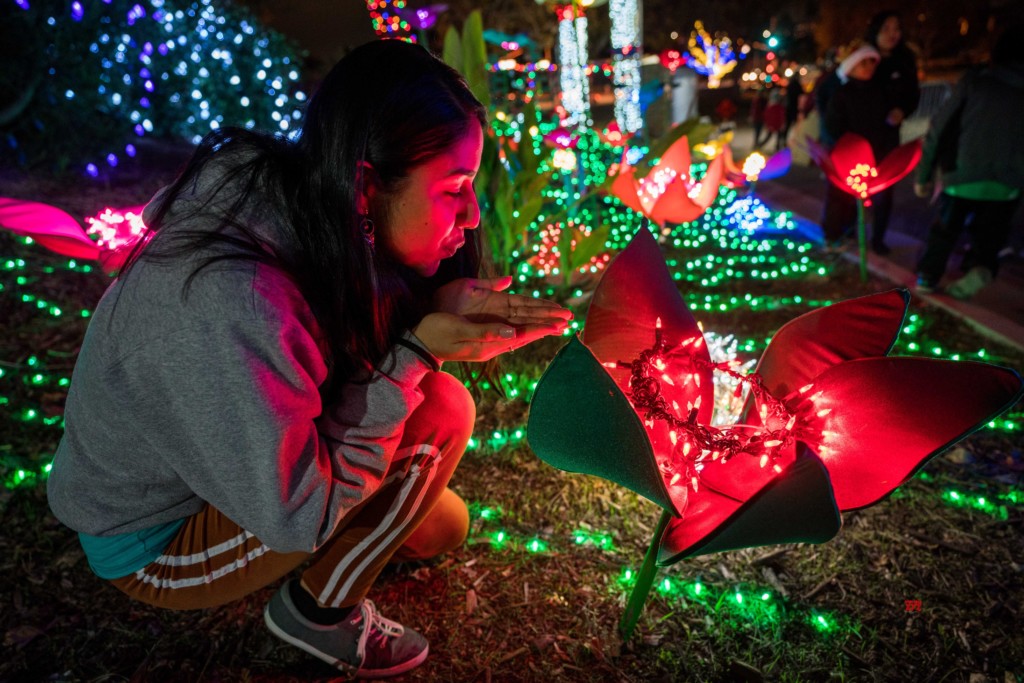 U.S. LOS ANGELES CHRISTMAS LIGHT SHOW Gallery Social News XYZ