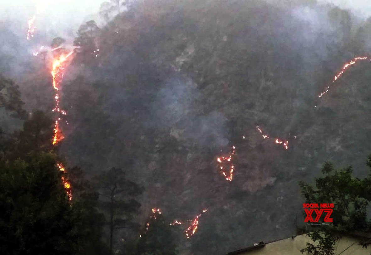 Forest Fires Spread In Uttarakhand Jungles - Social News XYZ