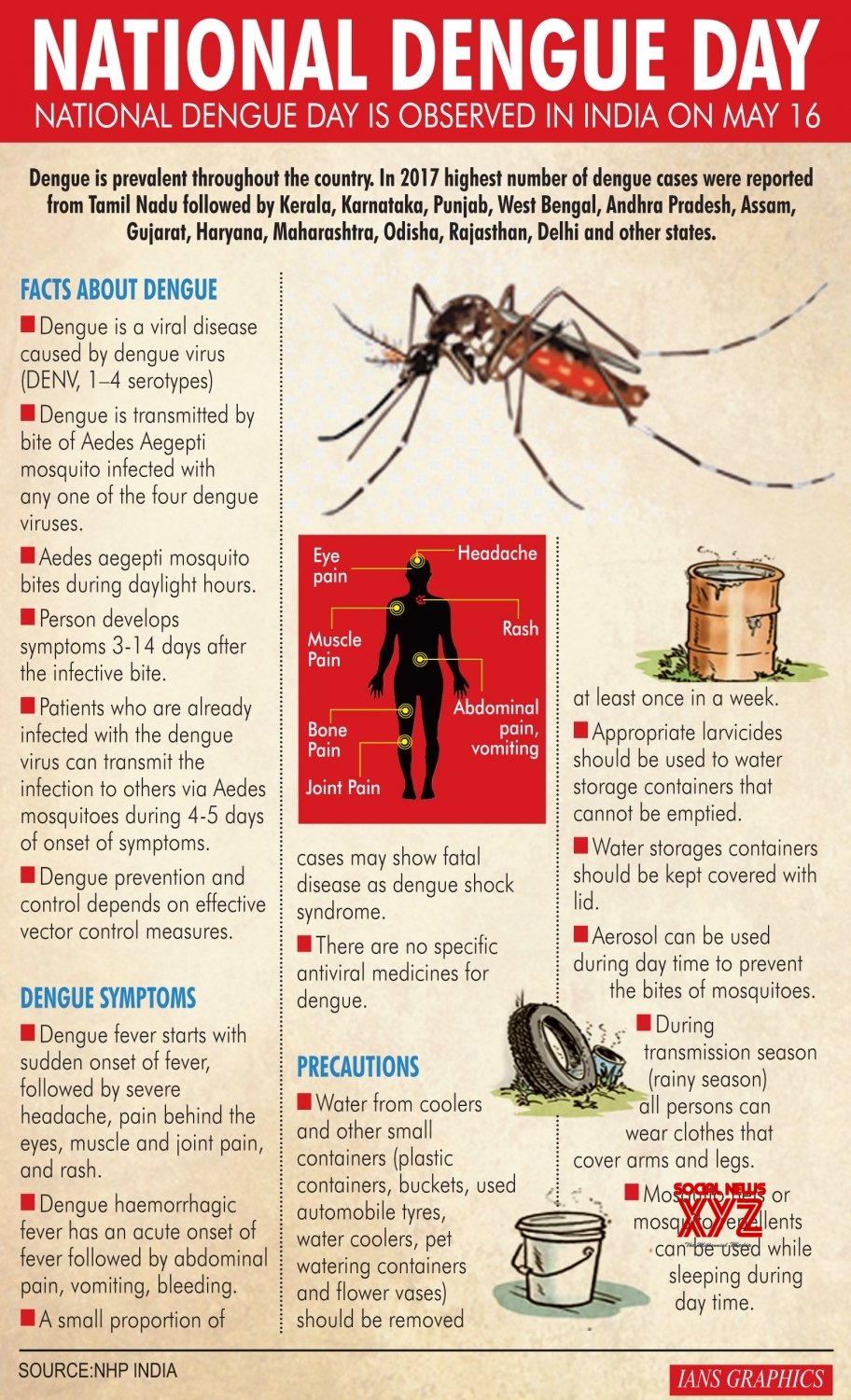 Infographics National Dengue Day Gallery Social News XYZ