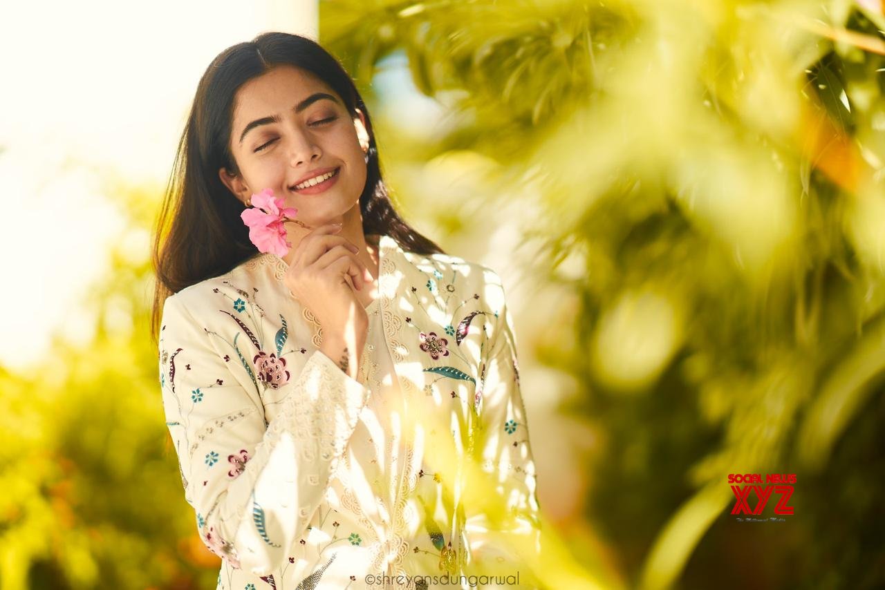 Actress Rashmika Mandanna Cute New Stills - Social News XYZ