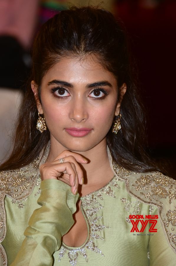 Actress Pooja Hegde Stills From Gaddalakonda Ganesh Movie Success Meet ...