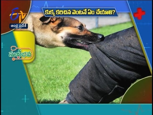 First Aid for Dog Bite Sukhibhava 25th January 2020 ETV Andhra Pradesh Video