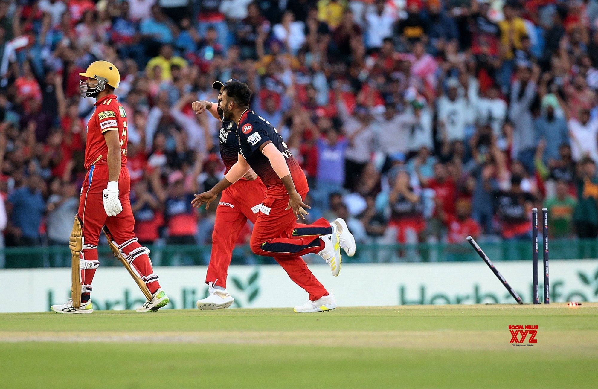 Mohali : PBKS Batsman Harpreet Singh Bhatia Run Out By RCB's Mohammed ...