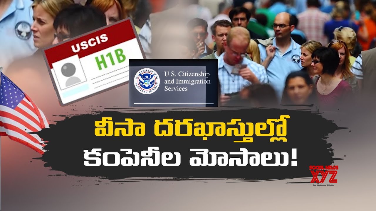 H1B Lottery System Resulted In Abuse, Fraud (Video) - Social News XYZ