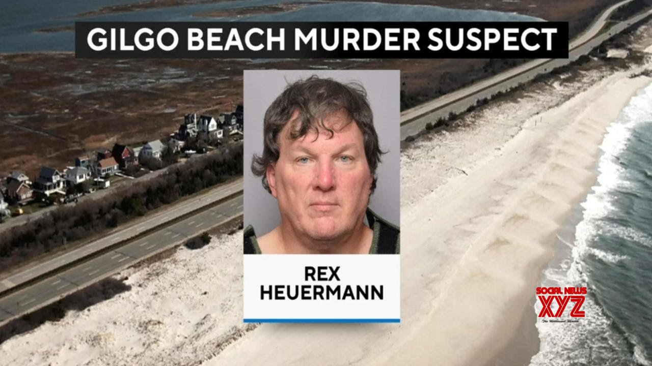 Gilgo Beach Serial Killer Suspect In Court Tuesday (Video) - Social ...