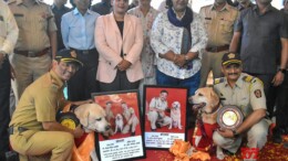 Mumbai: Police personnel bid farewell to Oscar and Mylo, two dogs from the Bomb Detection and Disposal Squad (BDDS) during their retirement ceremony, at Kala Chowki, in Mumbaion Wednesday, October 23, 2024. (Photo: IANS/Nitin Lawate)