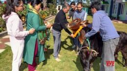 Shimla: Himachal Pradesh Chief Minister Sukhvinder Singh Sukhu along with his gamily performs 'Govardhan Pooja' on the occasion of the Govardhan and Annakoot festivals at his residence in Shimla on Saturday, November 02, 2024. (Photo: IANS)