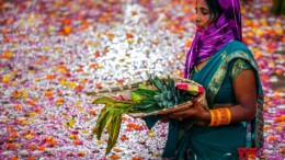 Noida : A devotee offers 'Arghya' to the setting Sun and performs ritual on the third day of Chhath Puja in Noida on Thursday, November 7, 2024. (Photo: IANS)